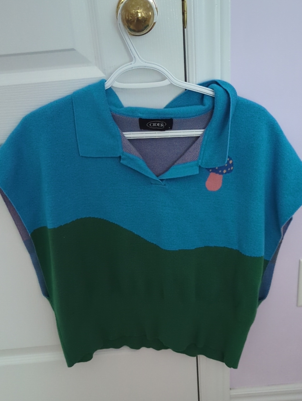 Cider Teal and Forest Green Colorblock Polo Top